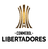 Copa Libertadores